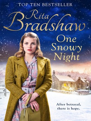 cover image of One Snowy Night